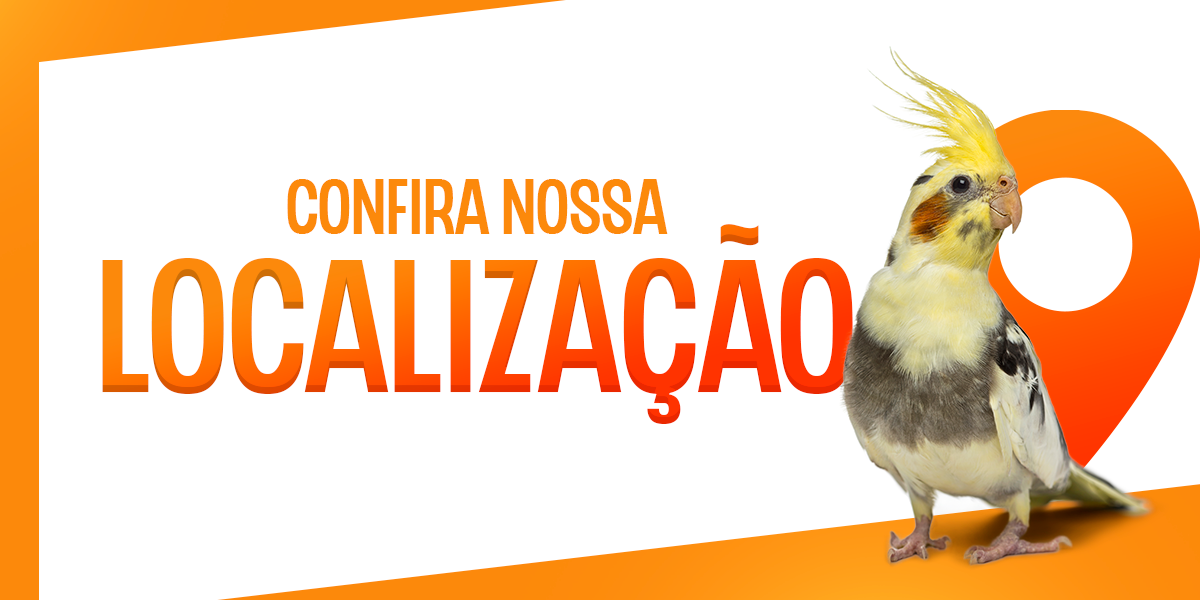 Localização