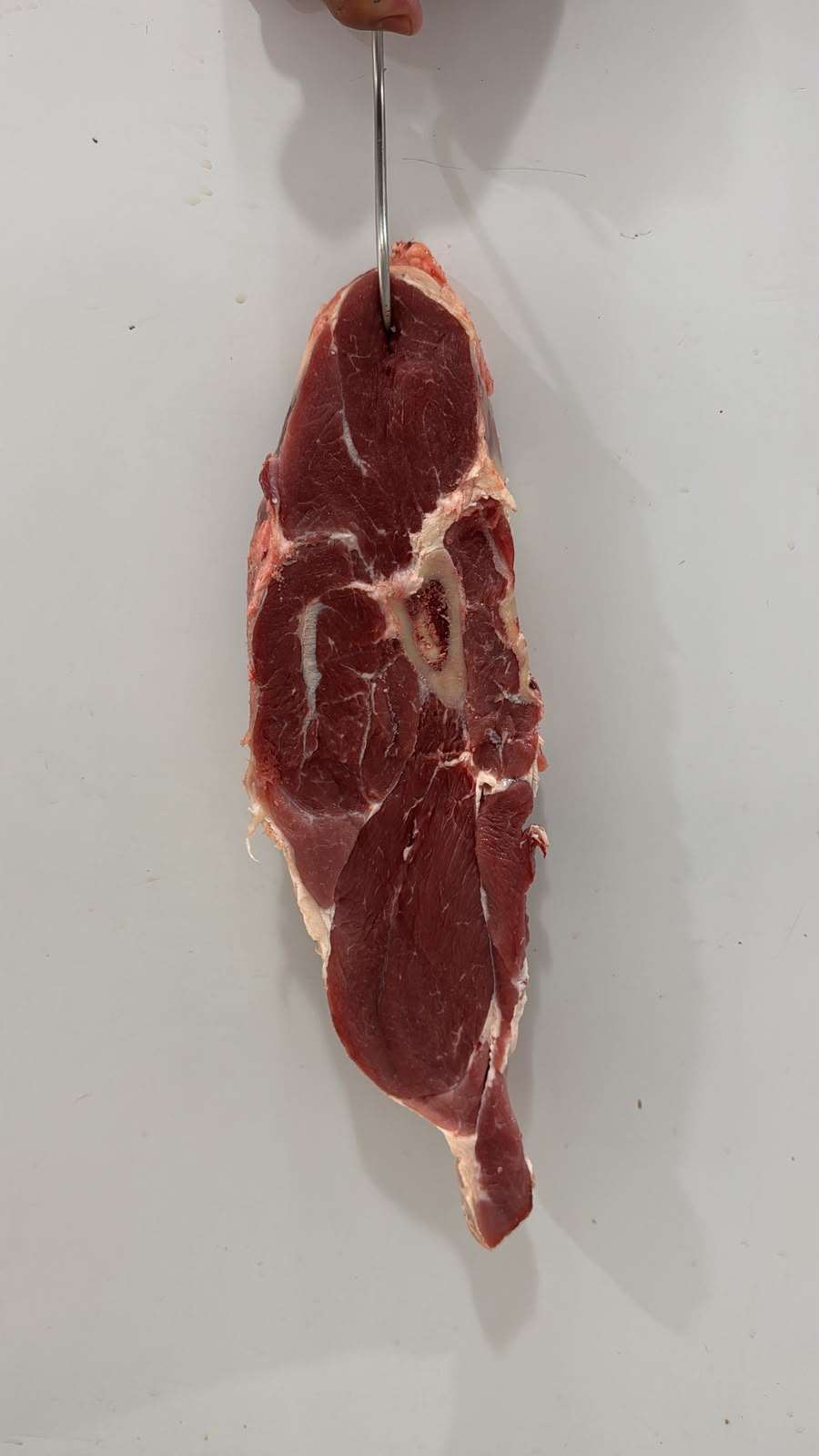 Paleta